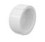 Imagem de CAP DE PVC ROSCAVEL  1" BRANCO CB